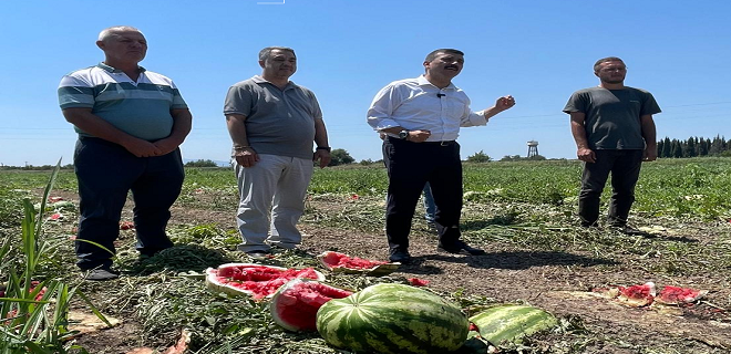 Milletvekili Türkoğlu, üreticinin çaresizliğini böyle yorumladı: