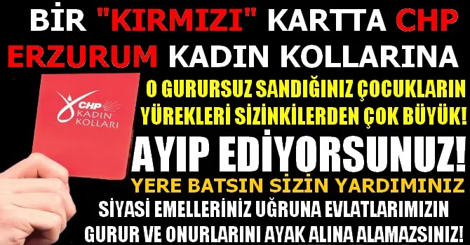 Ender Yüncü'nün Kaleminden Serhat Can Eş, BU AYIP SİZE YETER DE ARTAR BİLE...