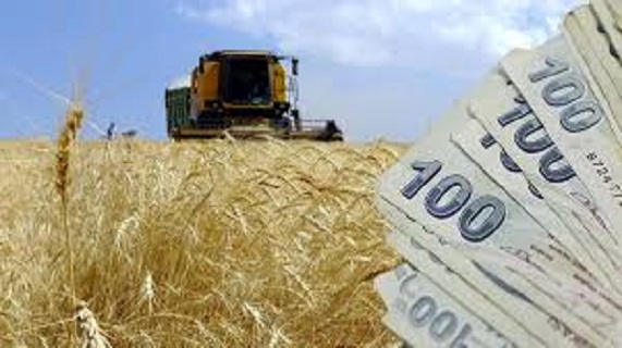 Çiftçilere 165,5 Milyon Liralık Destek Ödemesi