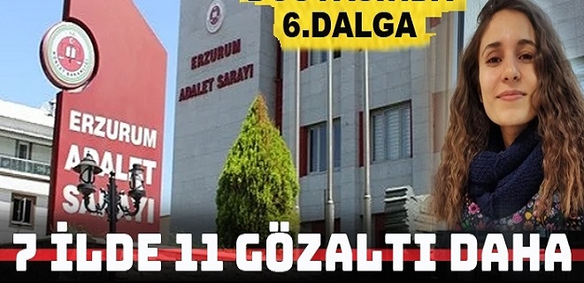 Gülistan Doku dosyasında 6. dalga: 7 ilde 11 şüpheliye operasyon