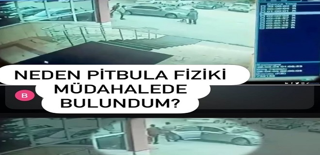 Palandöken Kaymakamı’ndan Pitbull Açıklaması: