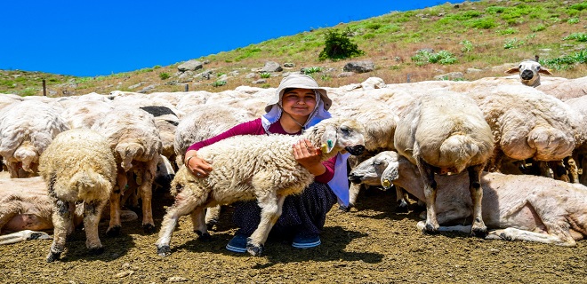 Malatya’da 35 yıllık su çilesi sona erdi: Sarıçiçek Yaylası suya kavuştu