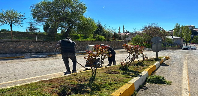 Yabani ot temizliği